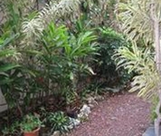 Casa Isabella Costa Rica B & B