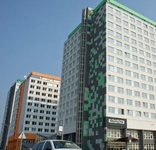 Domyno