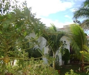 The Dolphin The Dolphin