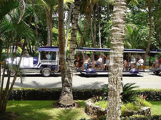 Barcelo Bavaro Beach