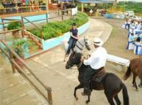 Finca Hotel Paso Fino Finca Hotel Paso Fino