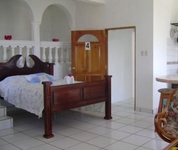 The Dolphin The Dolphin