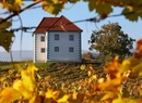 Фото Wine Growers Mansion Zlati Gric