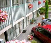 Accolade Lodge Motel