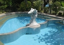 Фото 88 Hotspring Resort