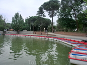 На Большом озере работает школа гребли, в которой как раз тренировались юные спортсмены. Ну и можно взять лодку на прокат, тем, кто хочет покататься.