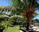 Фото Le Meridien Fishermans Cove