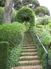 Очень красивые веточки зелени, идущие вдоль ступеней. Кстати, каждый день в сад приезжают садовники и самым тщательным образом ухаживают за всеми растениями ...