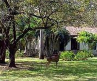 Фото отеля Hacienda La Pacifica