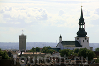 Таллин с высоты смотровой площадки на башне церкви Олевисте