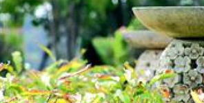 Ballina Palms Motor Inn Ballina Palms Motor Inn