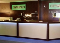 Gaudio