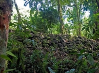 Kosrae Village Ecolodge