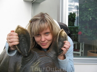 зоопарк зоопарк