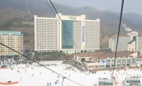 Фото отеля Daemyung Resort Vivaldi Park