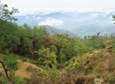 Фото Funky Hill Inn pvt. Ltd Nagarkot