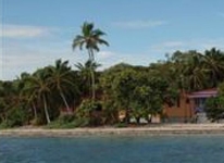 Blackbird Caye Resort
