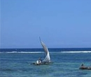Фото SheShe Baharini Beach Hotel