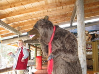 Чучело медведя стоит у магазина и крутит головой.