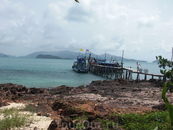 Koh Wai