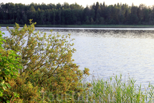 На озеро мы приехали около 9 вечера, разбили лагерь и стали принимать водные процедуры (вода была холоднее чем в Рдейском озере). Несколько ребят нашей ... На озеро мы приехали около 9 вечера, разбили лагерь и стали принимать водные процедуры (вода была холоднее чем в Рдейском озере). Несколько ребят нашей ...