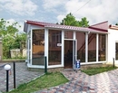 Фото Гиацинт