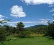 Muthaiga Safari camp