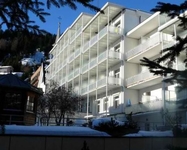 Alexander Hotel Davos