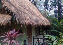 Nam Songsai Eco Lodge