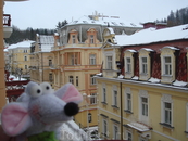 и он тоже ездил со мной в Чехию... мыш-путешественник:)