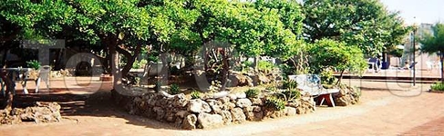 Hotel Mare