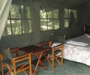 Фото Enchoro Wildlife Camp Tents Masai Mara