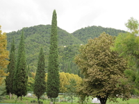 разнообразие разнообразие