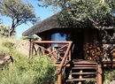 Фото Hochland Nest Lodge