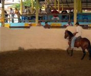 Finca Hotel Paso Fino Finca Hotel Paso Fino